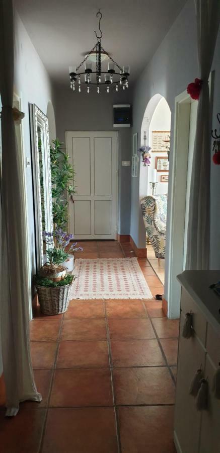 Apartman Felice Stari Grad Kültér fotó